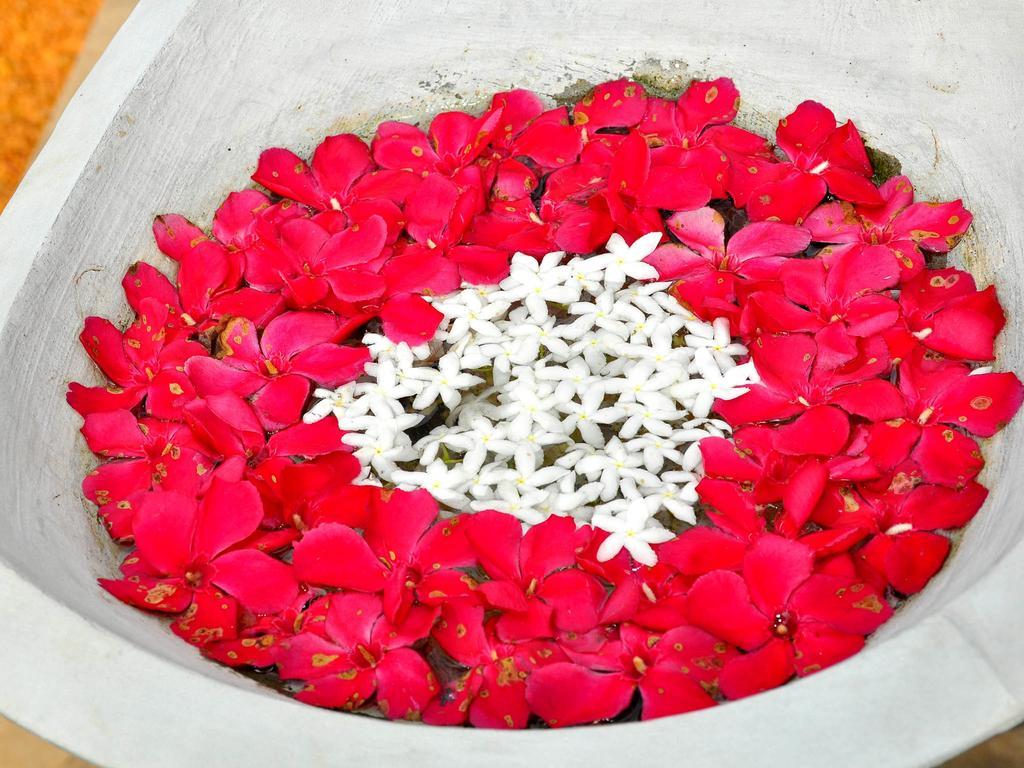 Rockery Villa Ayurveda 벤토타 외부 사진