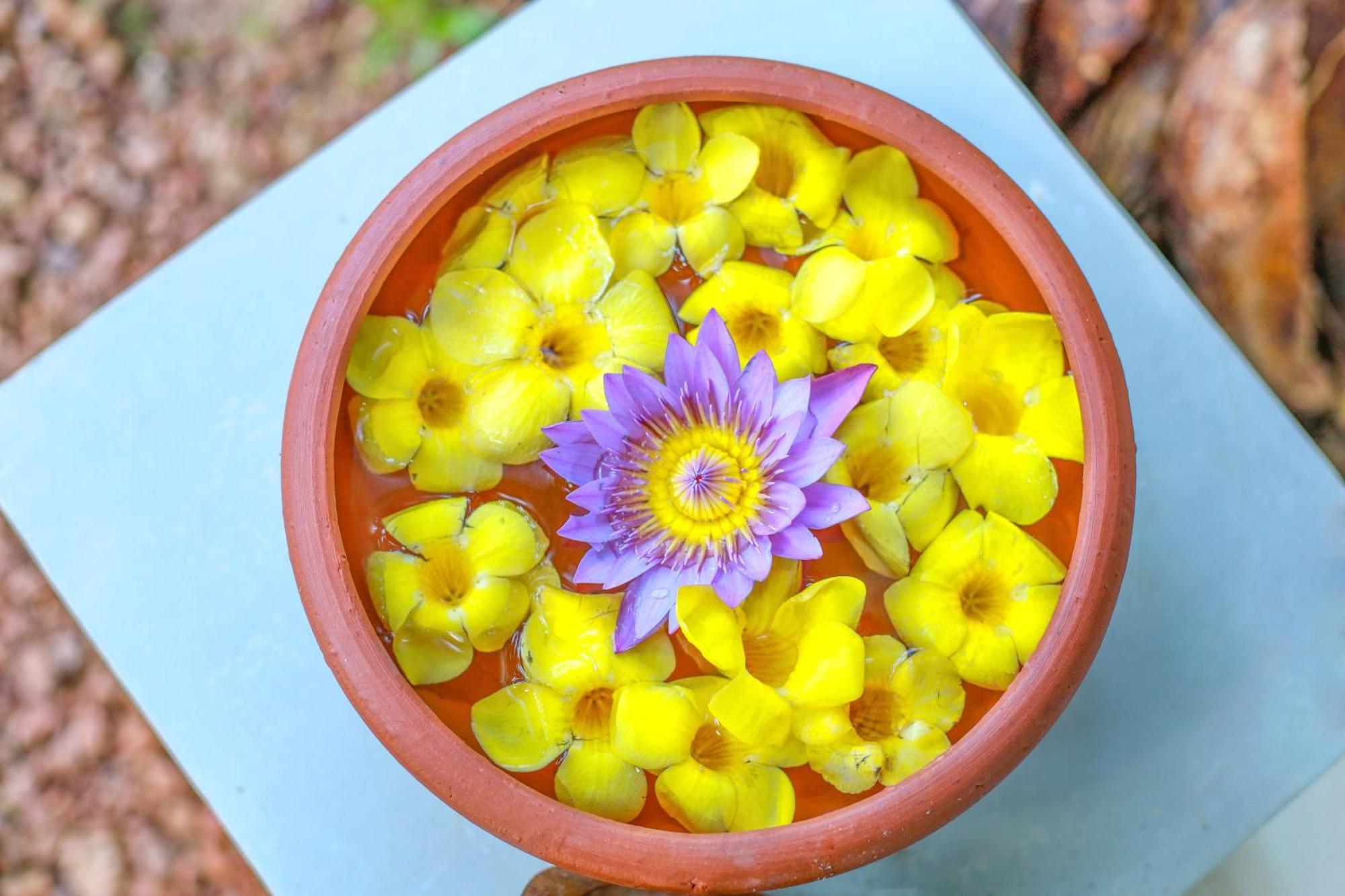 Rockery Villa Ayurveda 벤토타 외부 사진