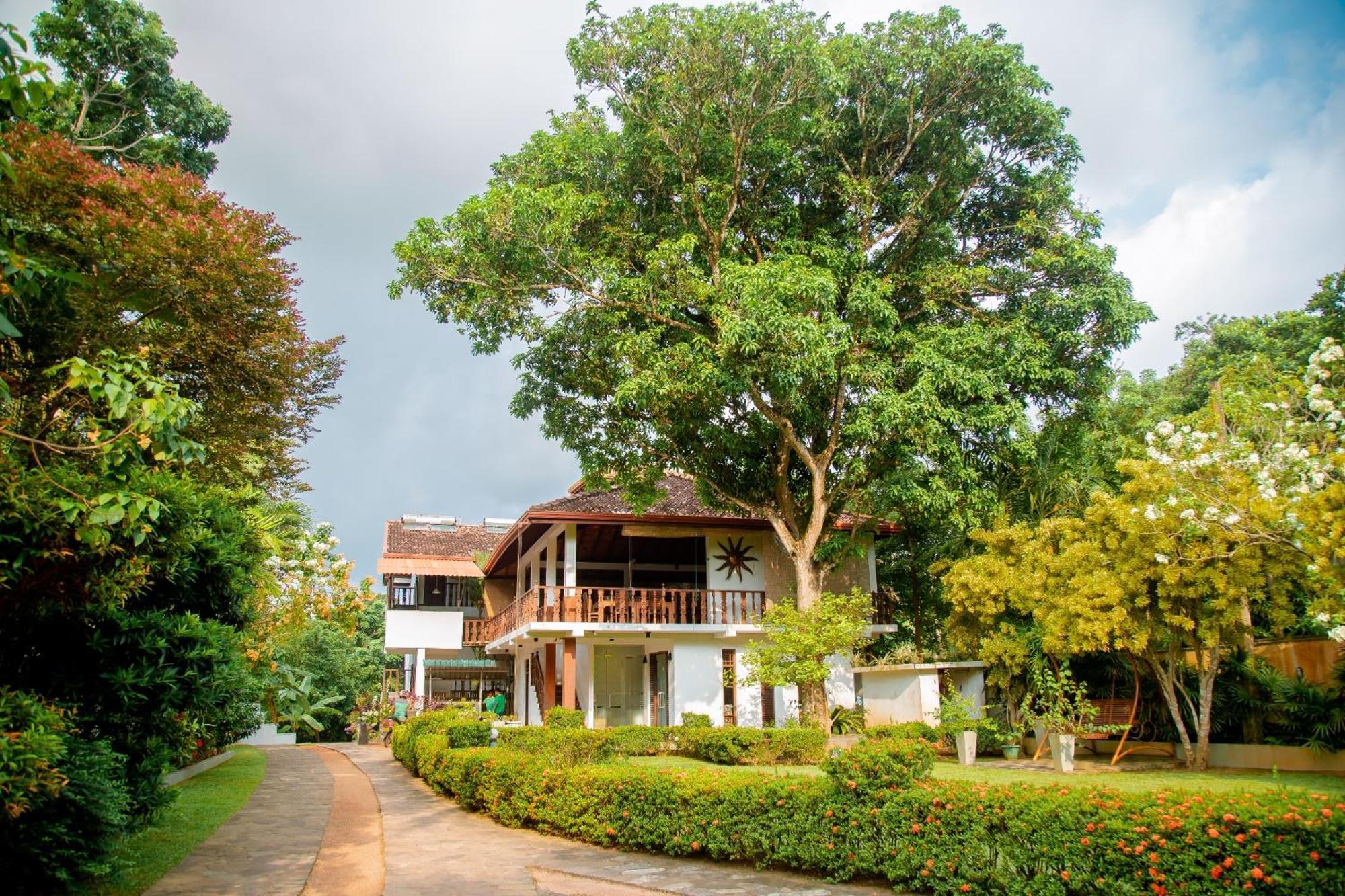 Rockery Villa Ayurveda 벤토타 외부 사진