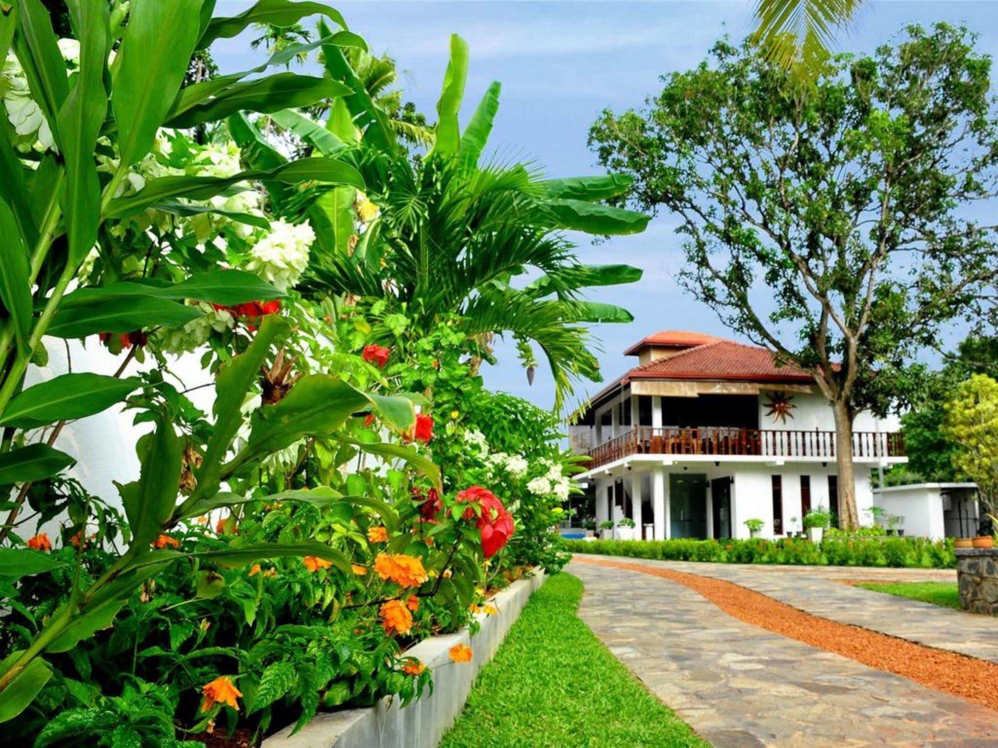 Rockery Villa Ayurveda 벤토타 외부 사진